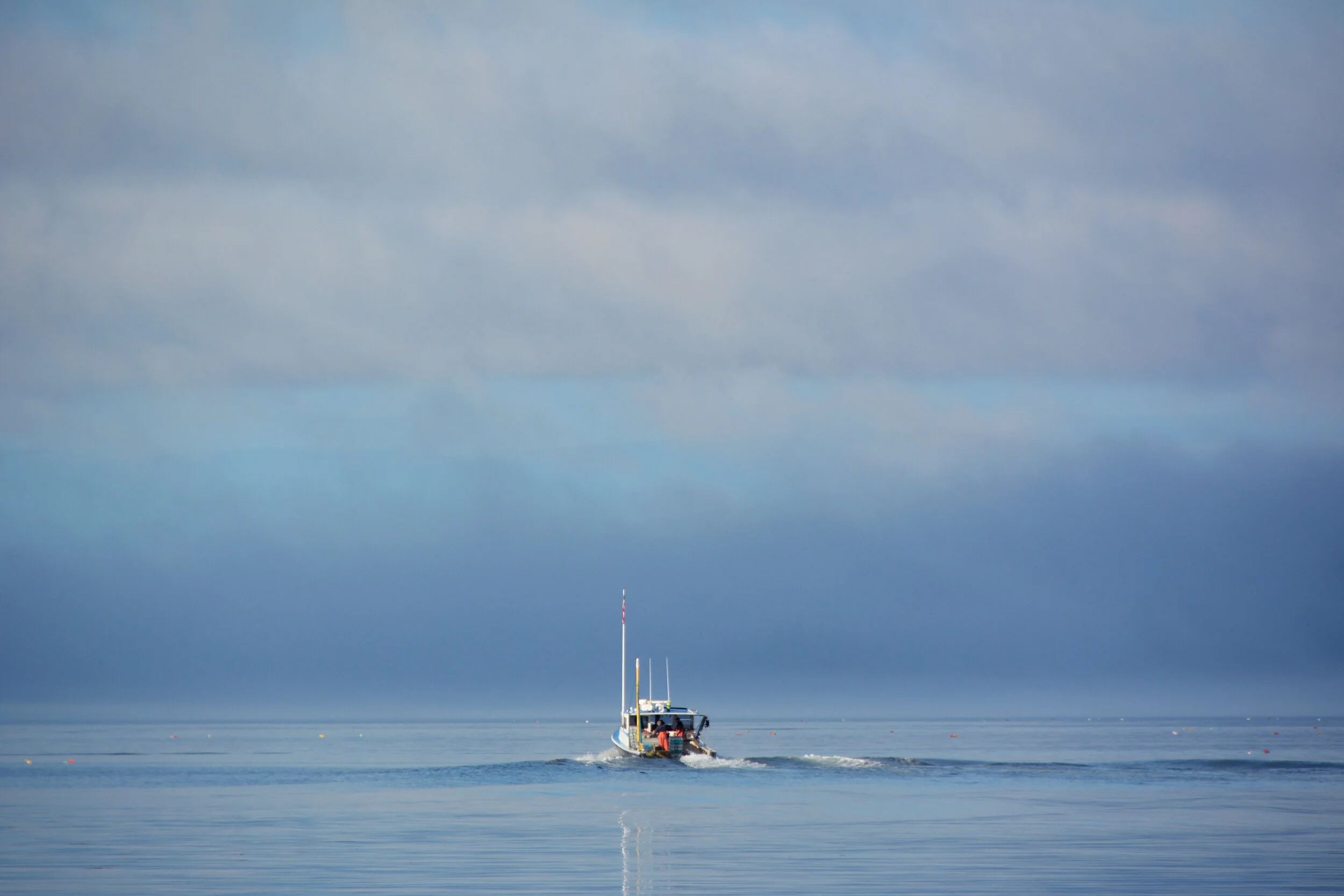 71N_4490.jpg