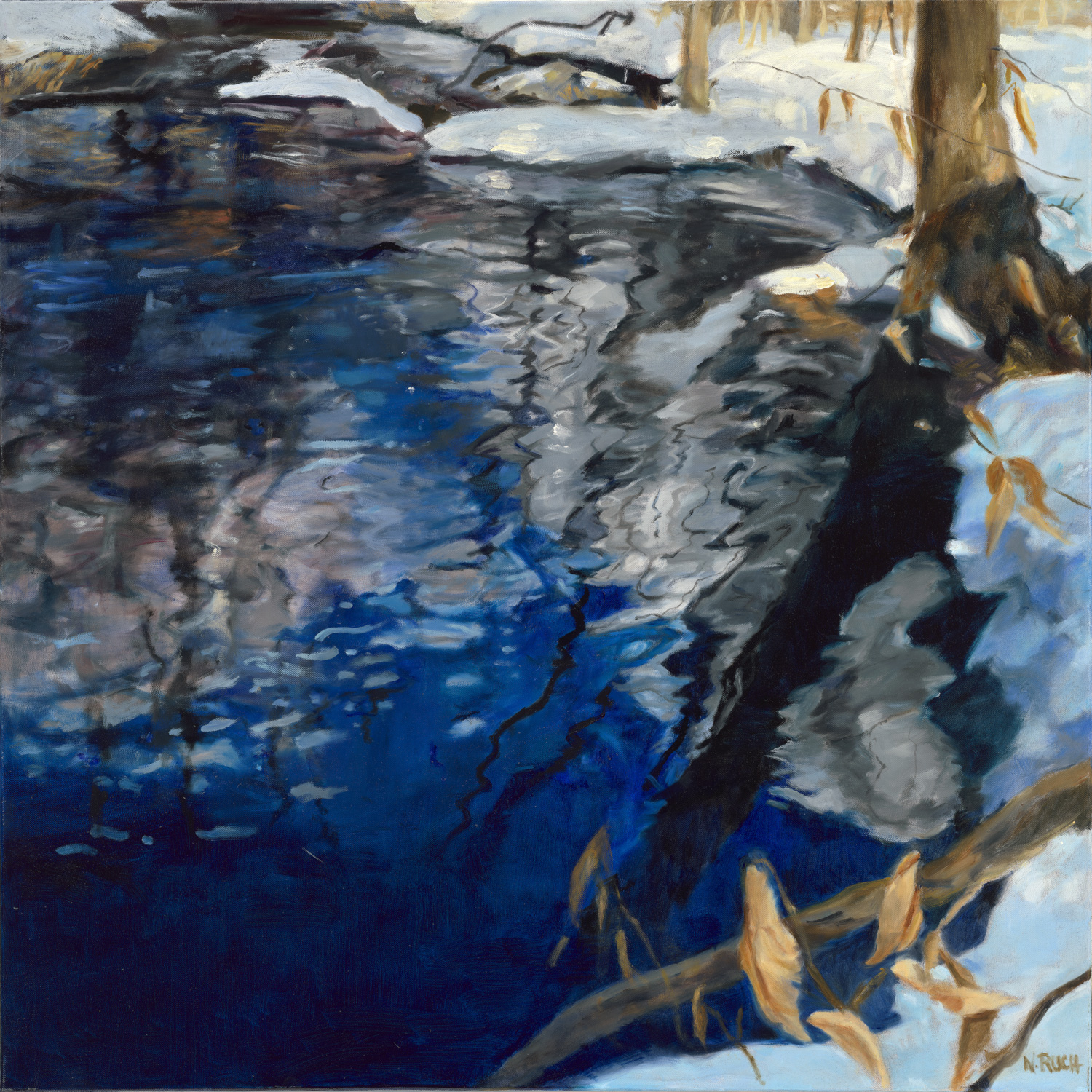 Winter Reflections