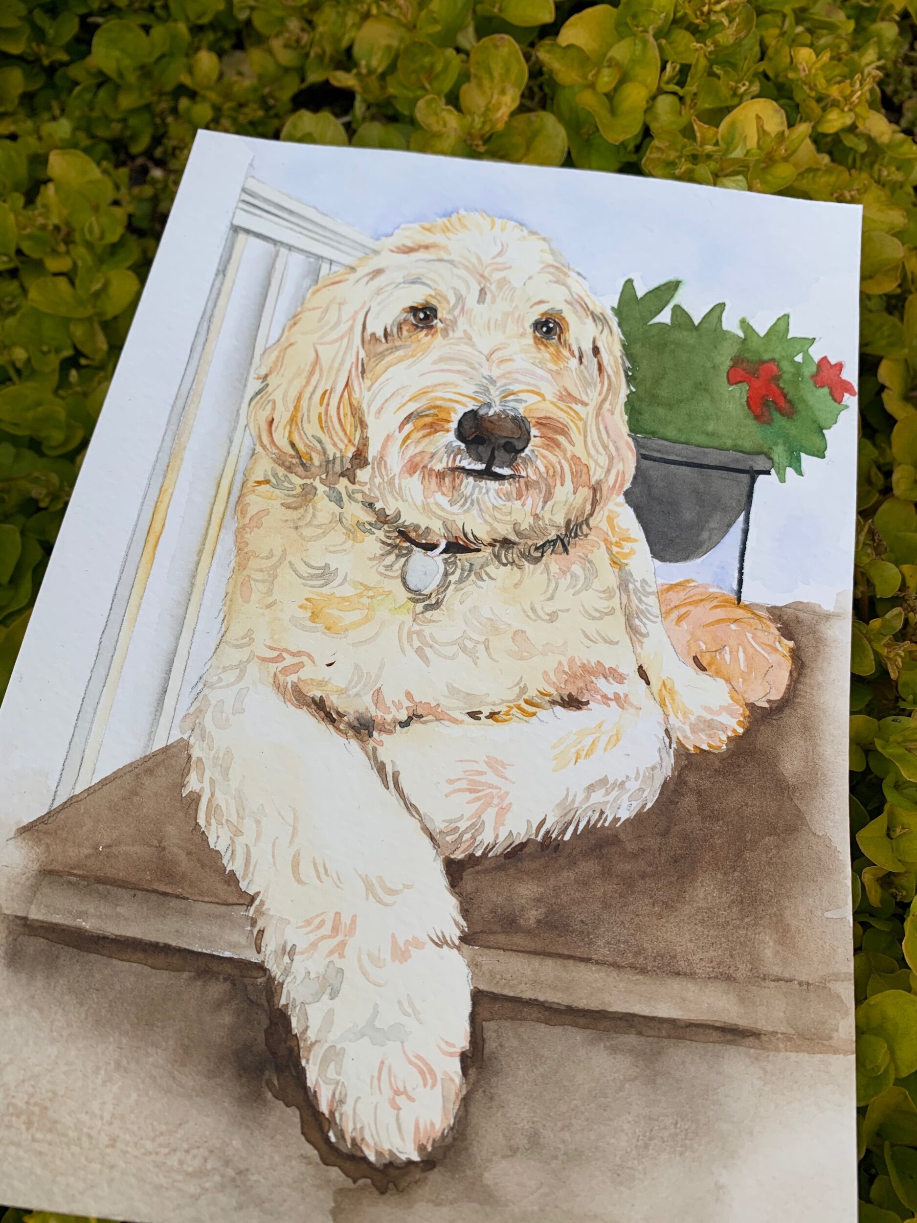 829B30D6-EFDC-4C8C-814D-13DFEB56BA35