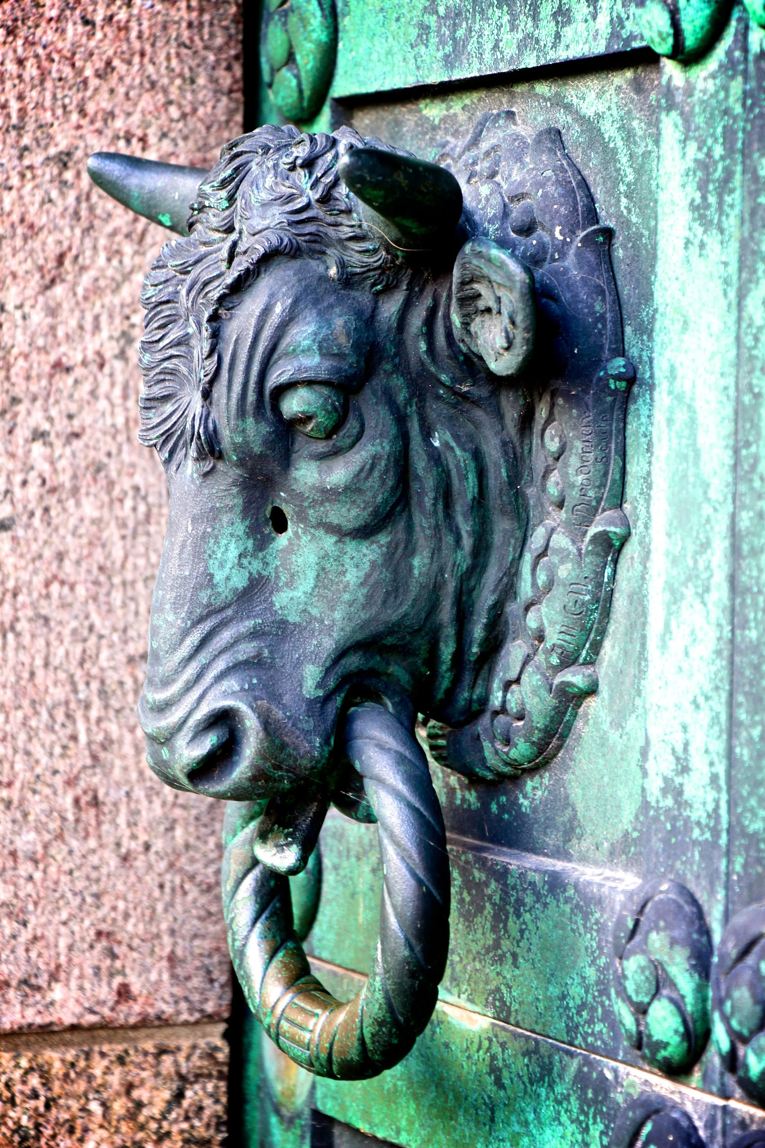 bull door jpeg.jpg