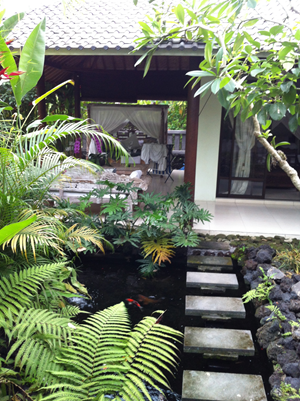 GEOFFREY and MICHAEL’s UBUD HOUSE Not too bad for $60,000, including the land?