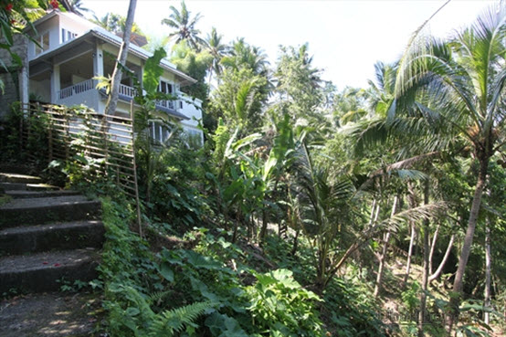 Or this 4 bedroom, two bathroom house with a pool near Ubud with a 25 year lease in for $250,000