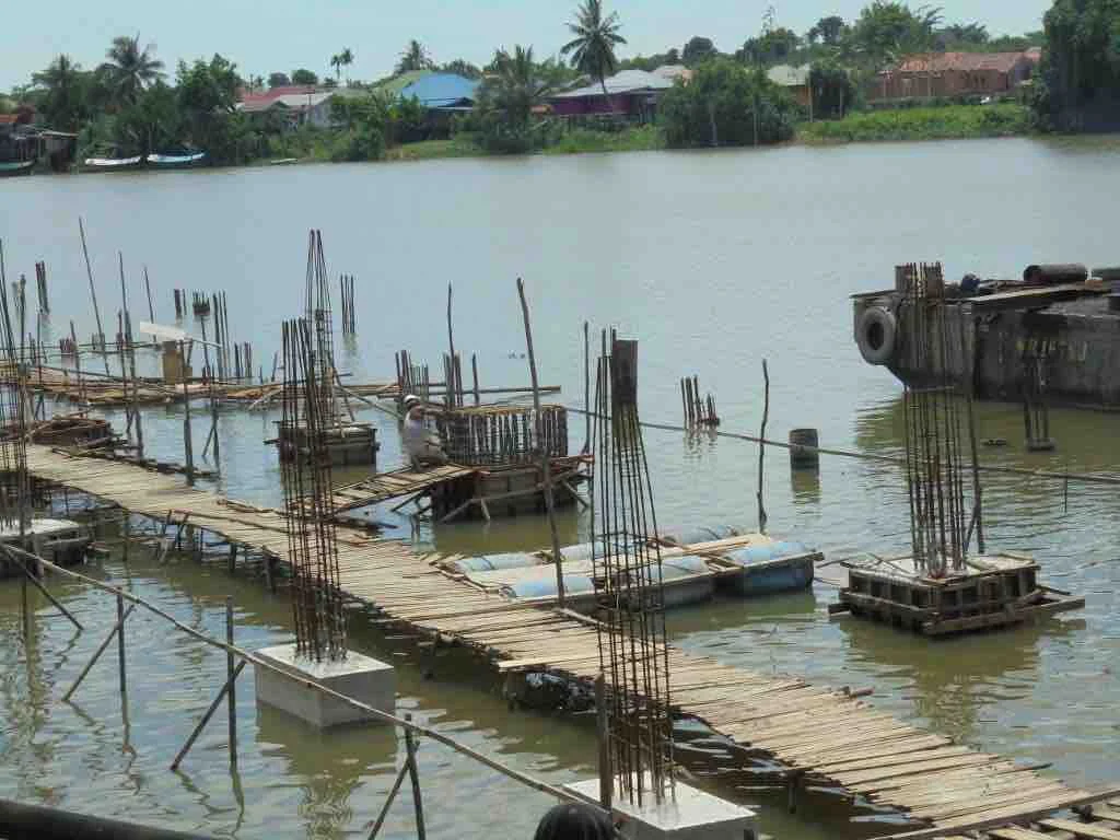 Bamboo walkway