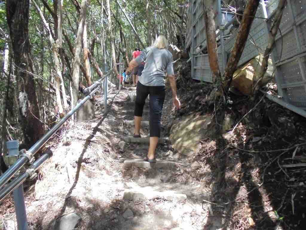 Temporary jungle trail to reach Sky Bridge