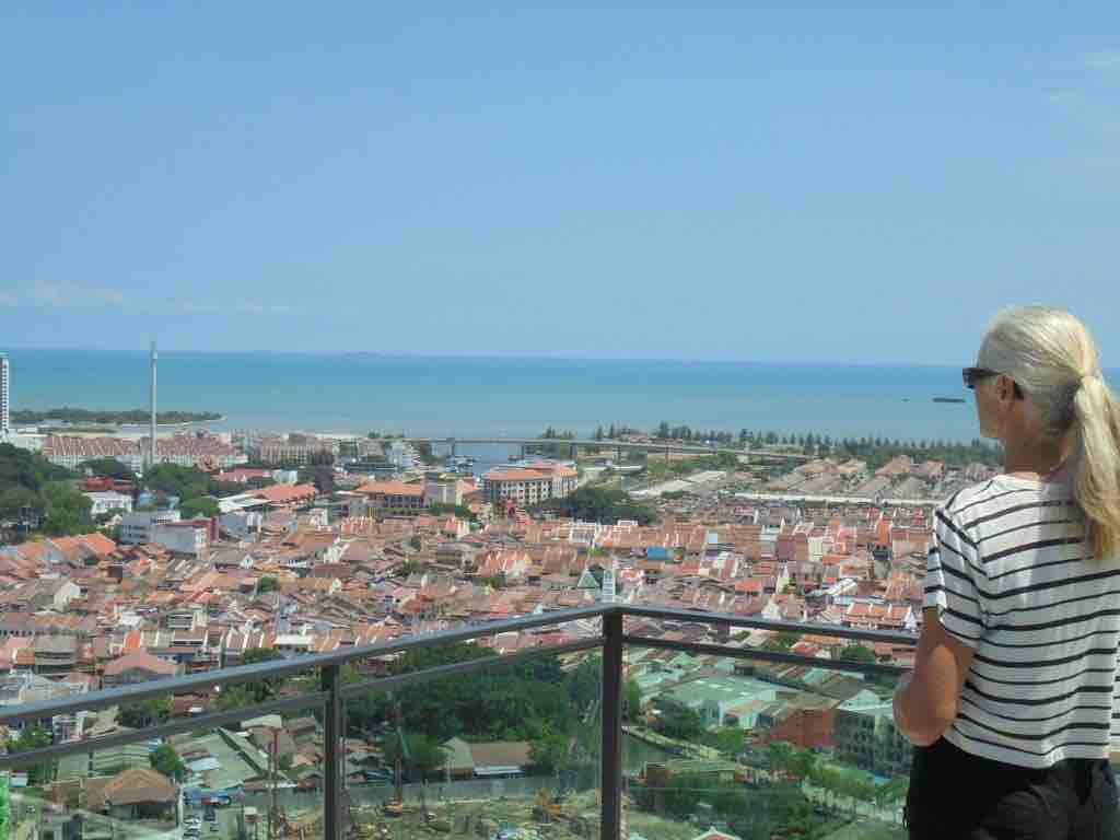 View from rooftop