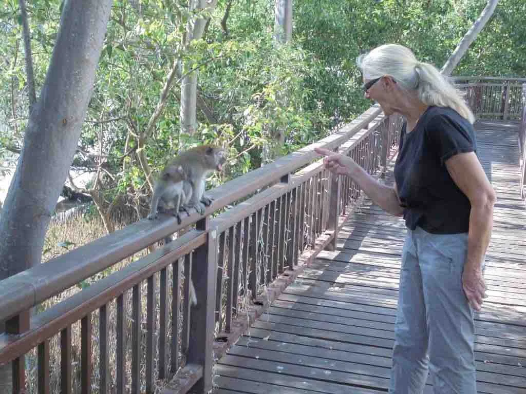 Erica warning the Macaques