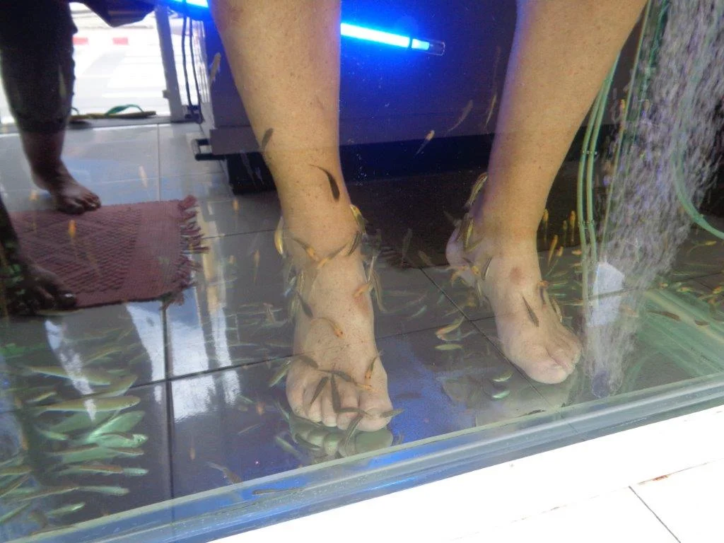 Fish Feet.jpg