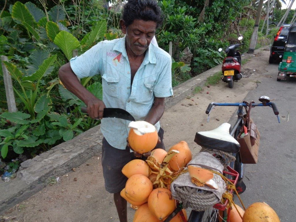 King coconut vendor