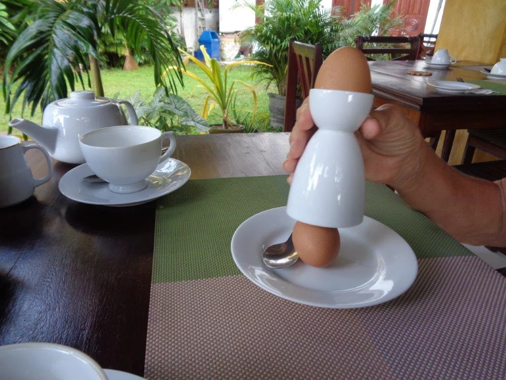 Amazing Egg Cup.jpg