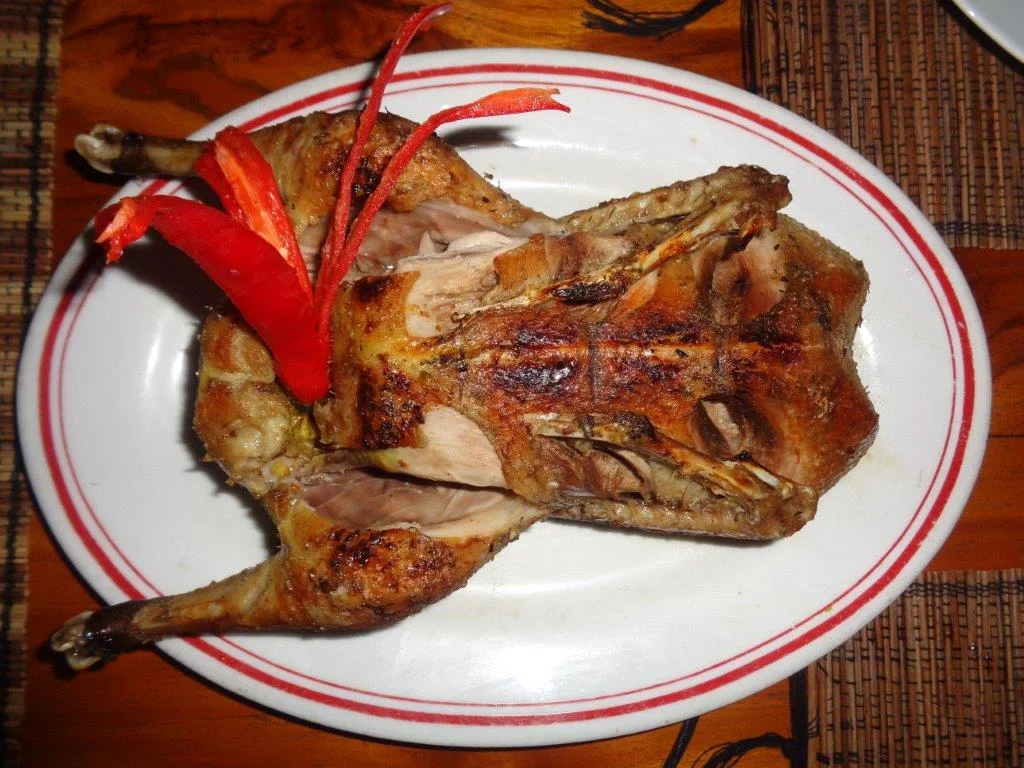 Our Duck.jpg