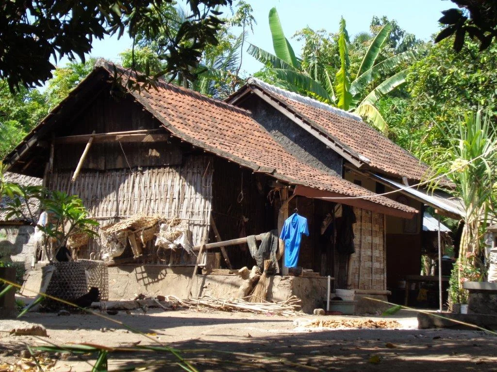 Village house