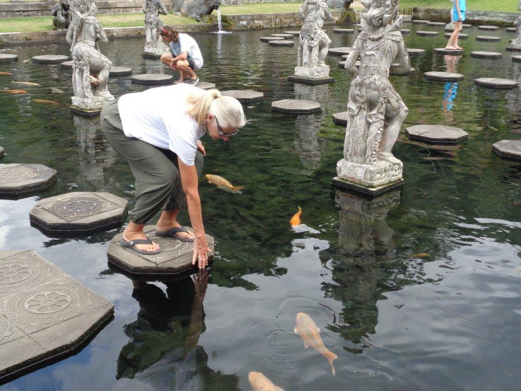 Fountain and fish