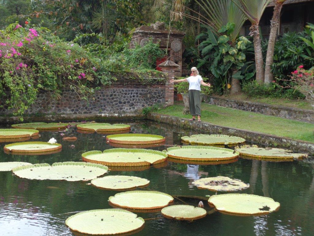 Water lilies at the Water Palace