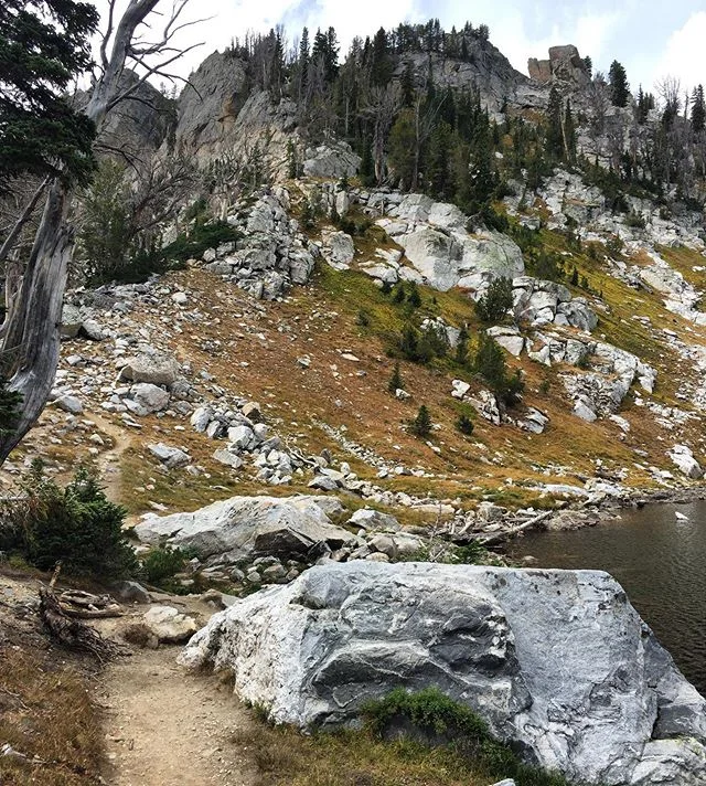 Final climb to the top, happy Friday everyone! 🥾 ⛰ 🥾 ⛰ 🥾
.
.
.
.
.
#gooutside #tgif #happyfriday #fridayvibes #weekendretreat #goyonder #gobeyond #tothetop #gohiking #takeahike #exploration #lovenature #armstrongs #allnatural