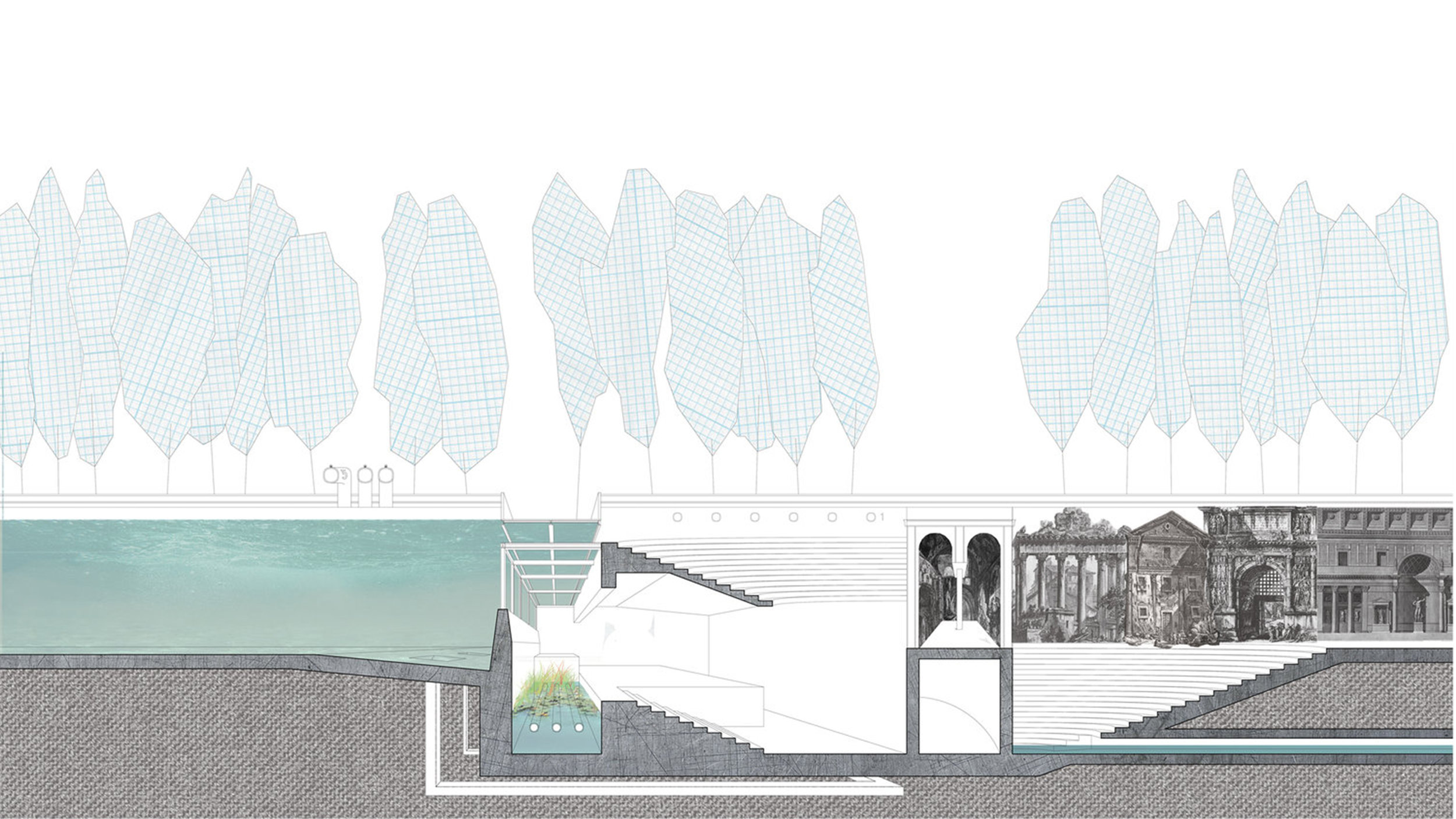 Section