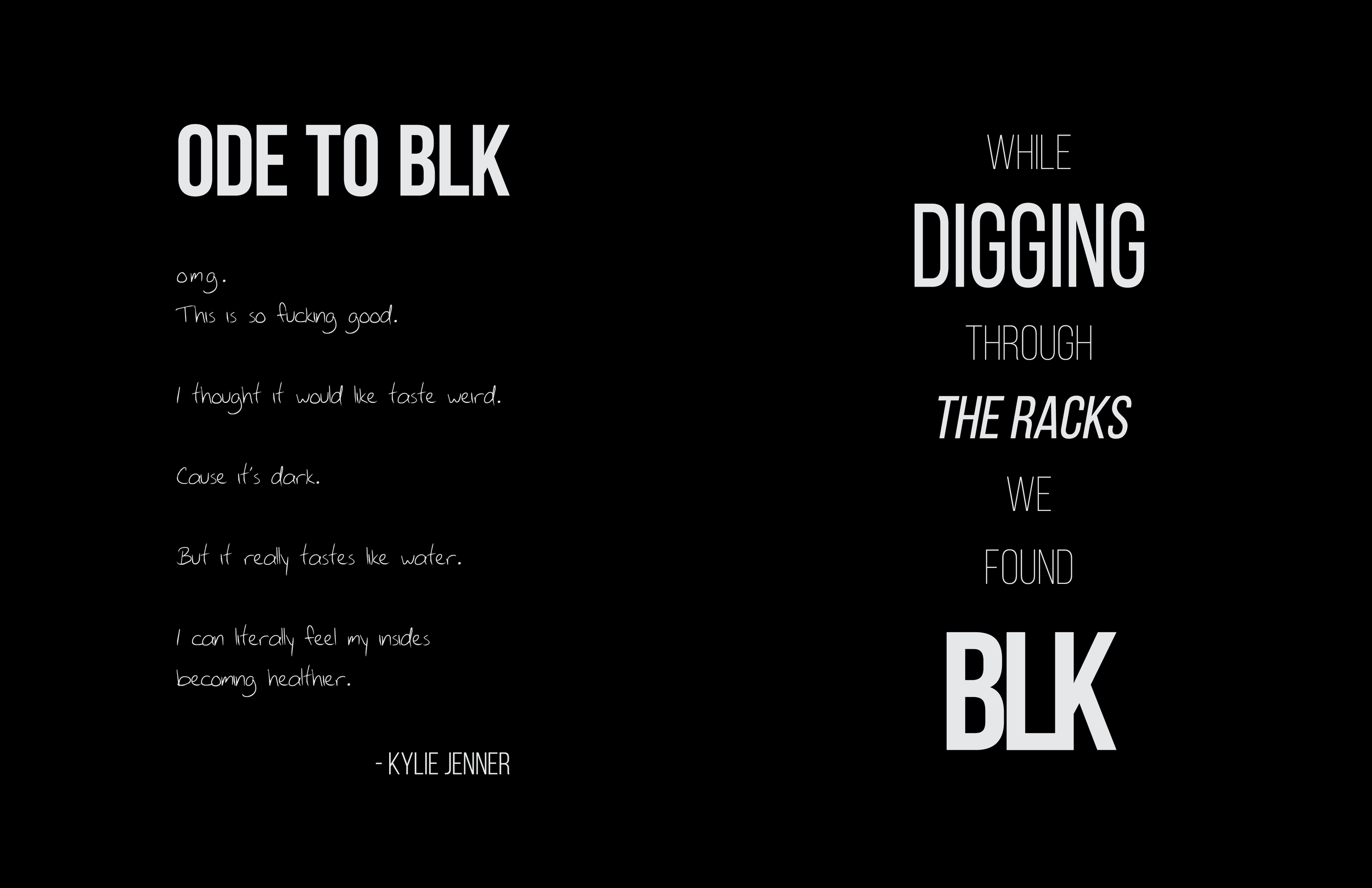 Blk Brand Book10.jpg