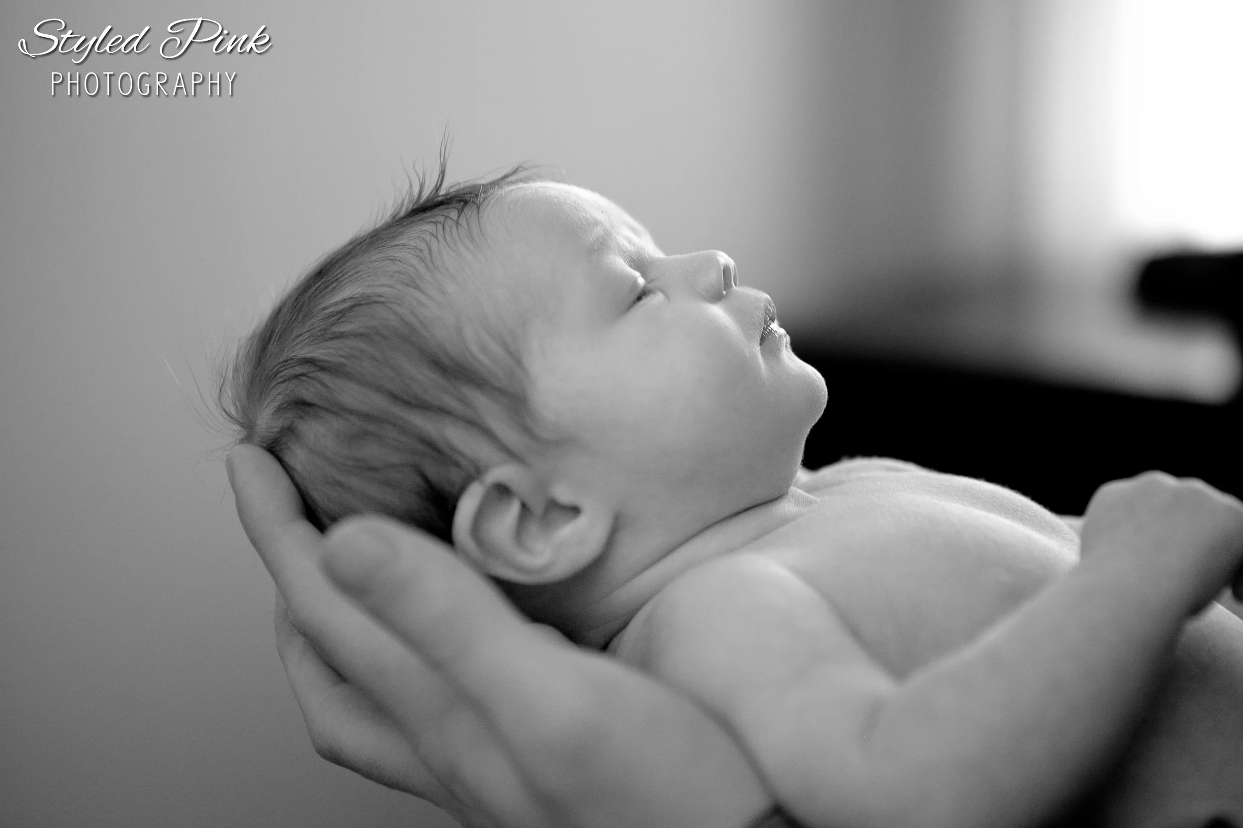 Styled-Pink-newborn-maci-4