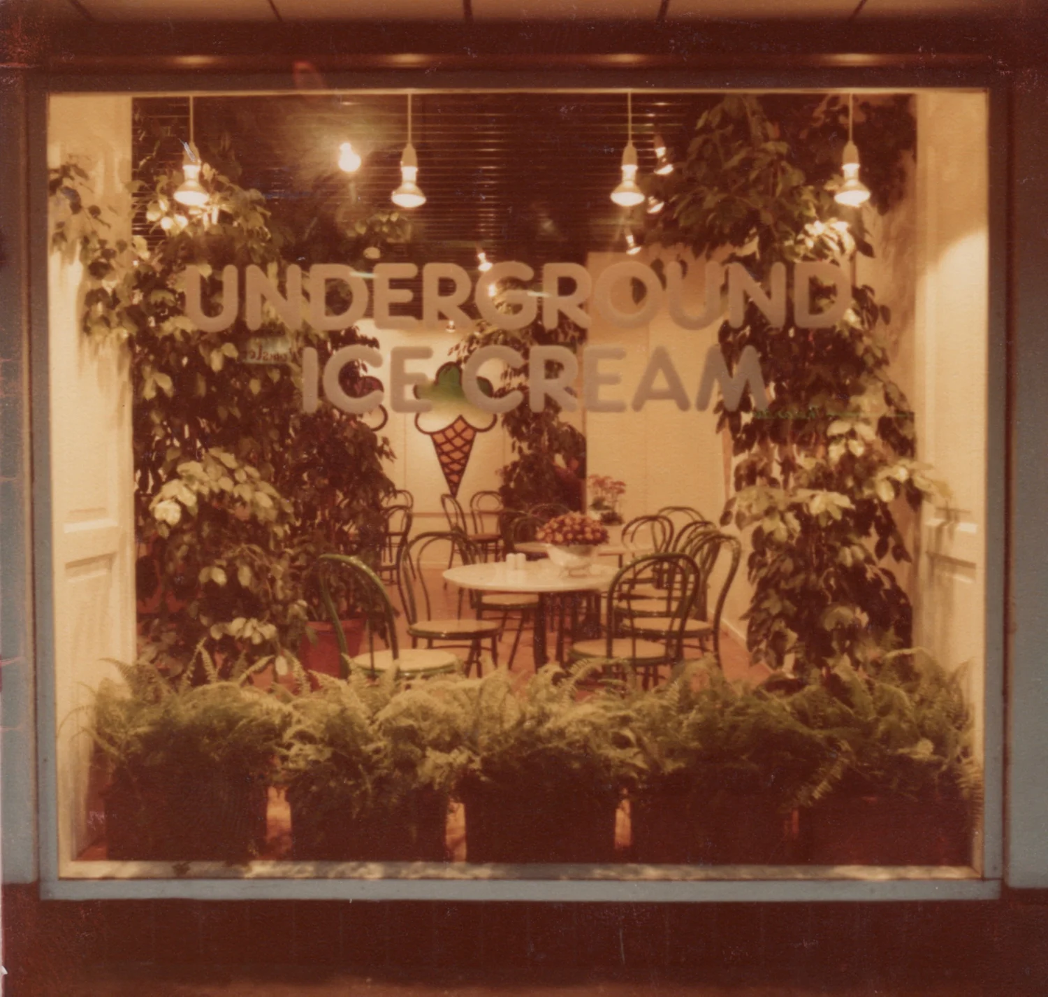 Scan 2.jpg
