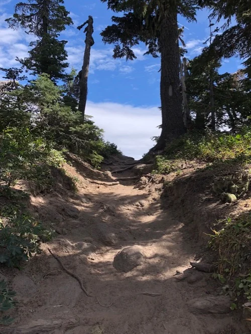 pacific-crest-trail.jpg