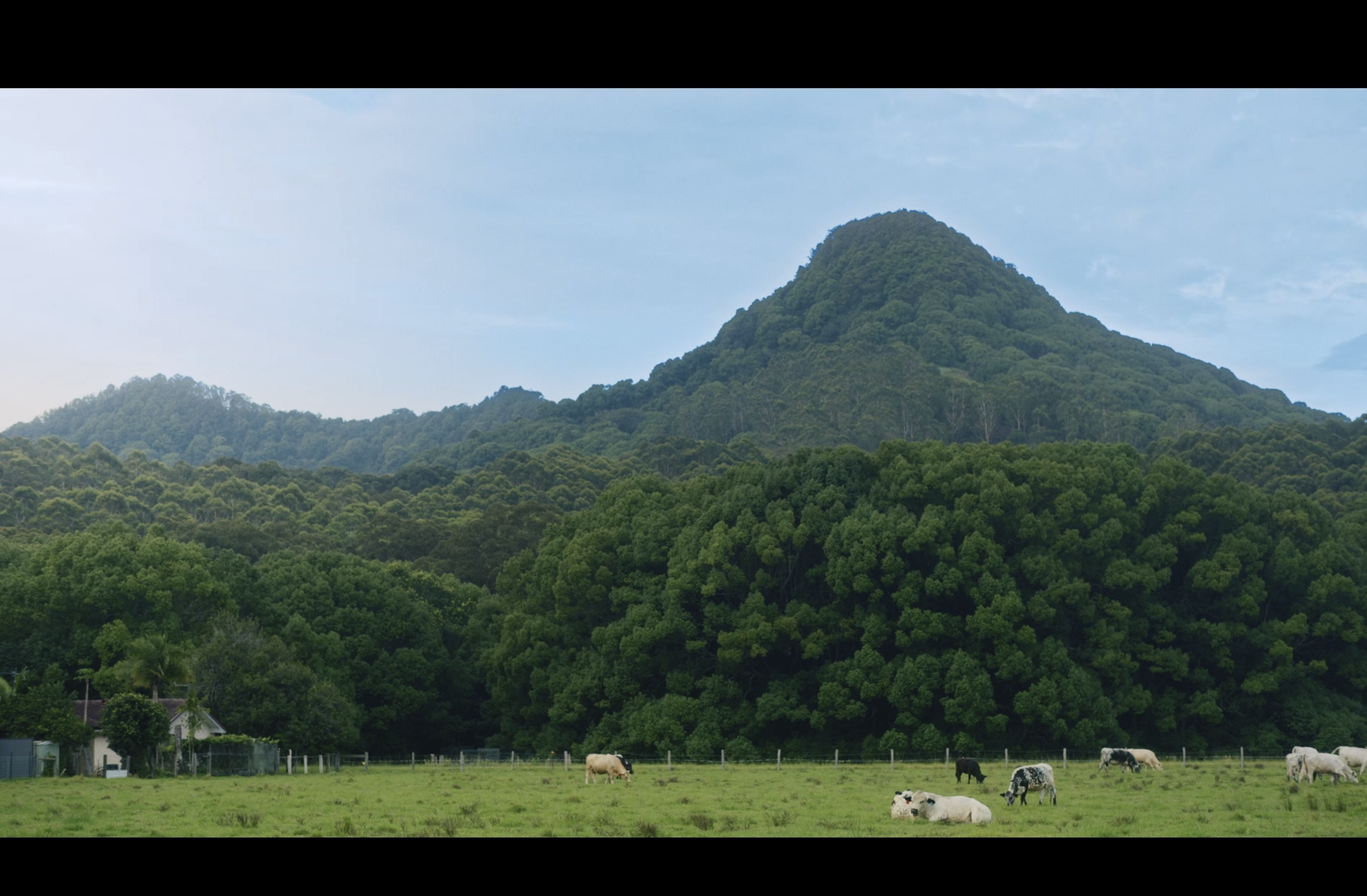 Screenshot 2025-09-13 at 10.53.35 am.png