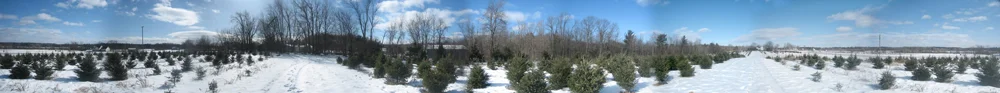 Panorama taken from the lot. Upstate NY.