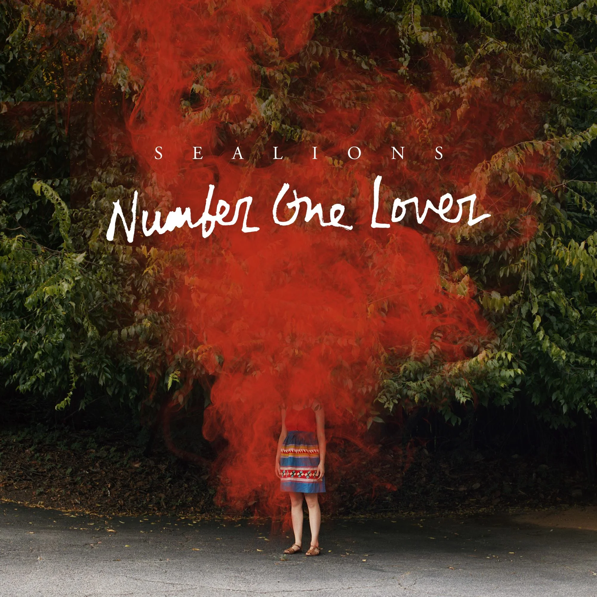 Sealions // Number One Lover // DBWR03 ( BUY )