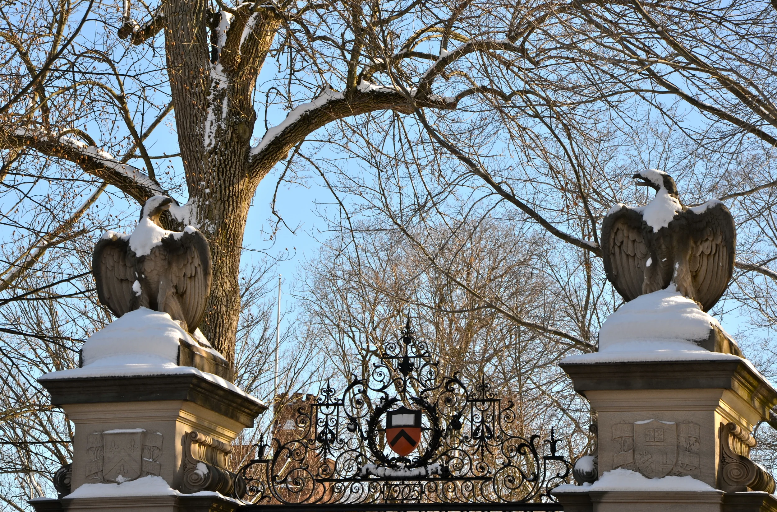 DSC_0563.JPG