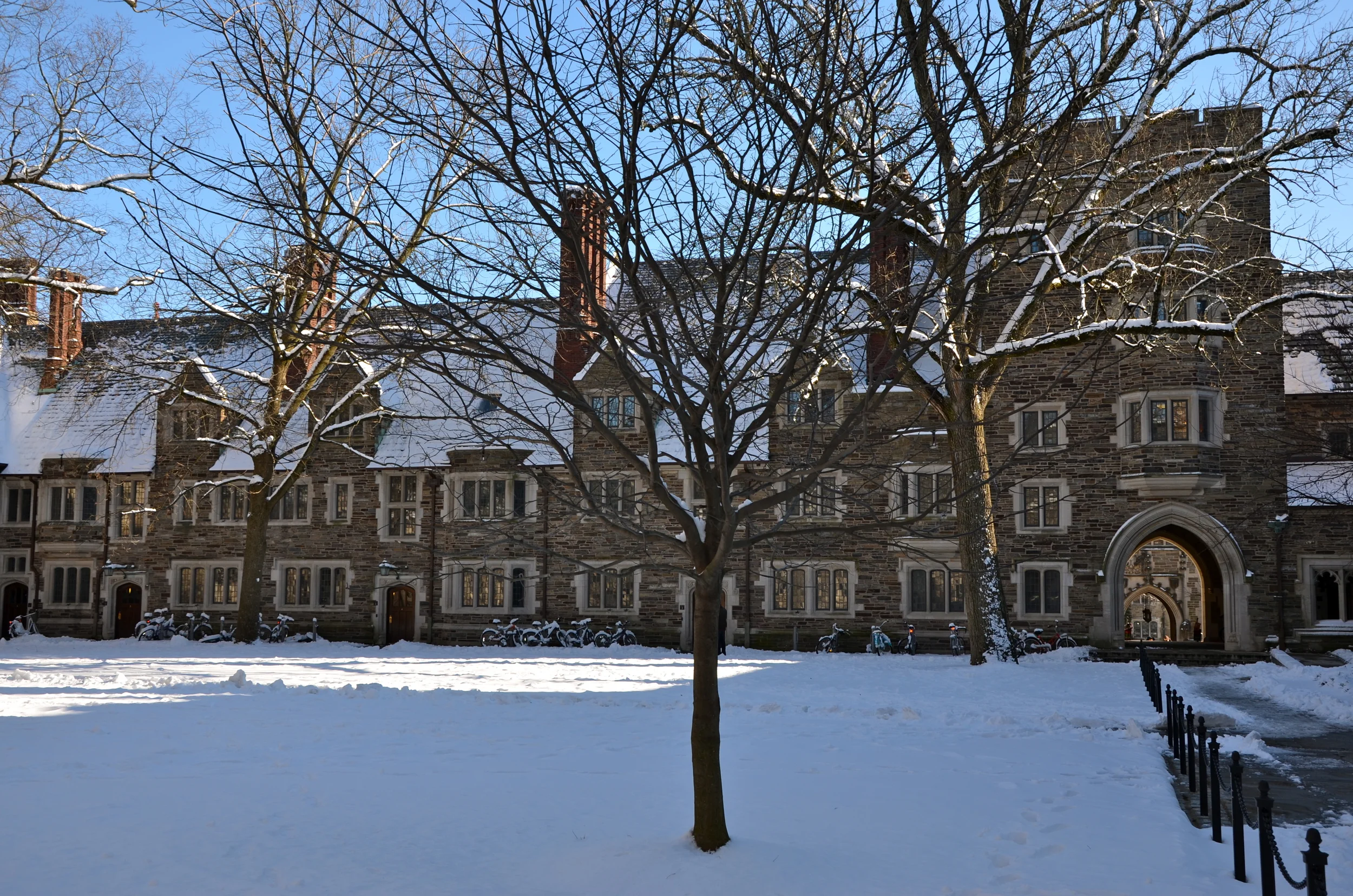 DSC_0582.JPG