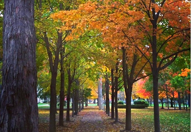 ND in Fall.jpg