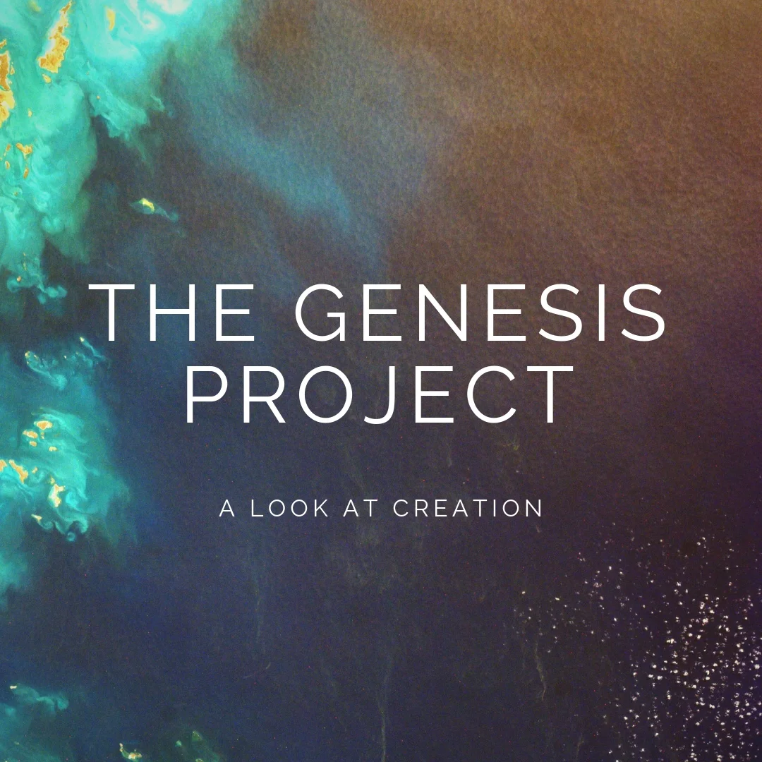 Genesis Project (October 28 - December 16, 2018) — LifeWater Community ...