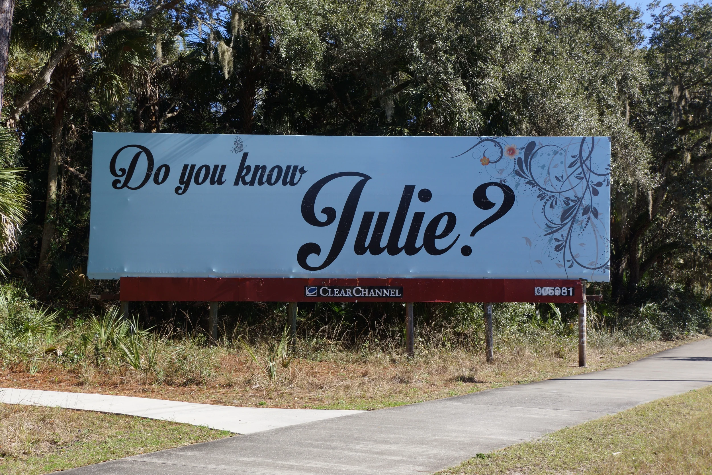 billboards in the hammock.jpg