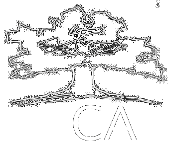 Hammock Community Association
