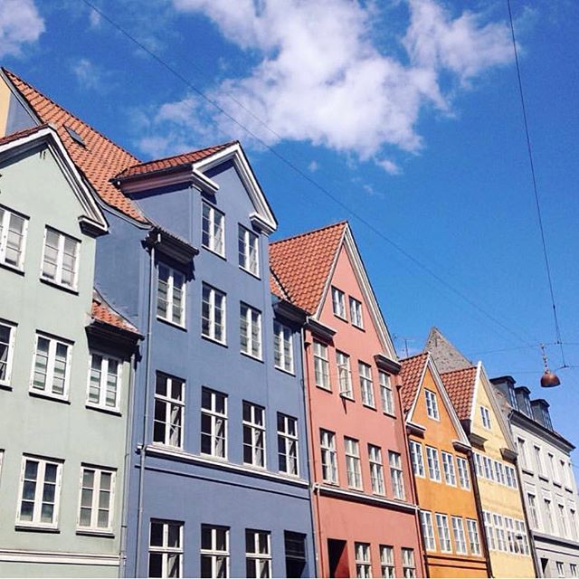 I&rsquo;m gone the first two weeks of June and need someone to watch my dog. Any takers? The top two floors of that pretty blue one are mine! #copenhagen