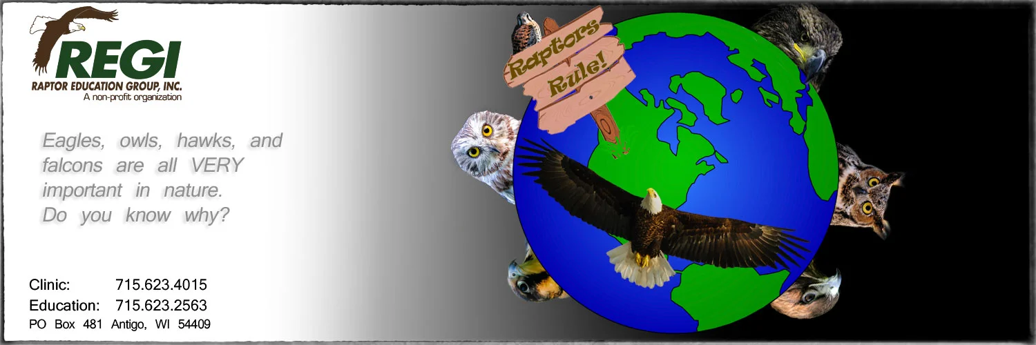 Raptor Education Group Inc Kids Corner Eagle Hawk Owl Falcon.jpg