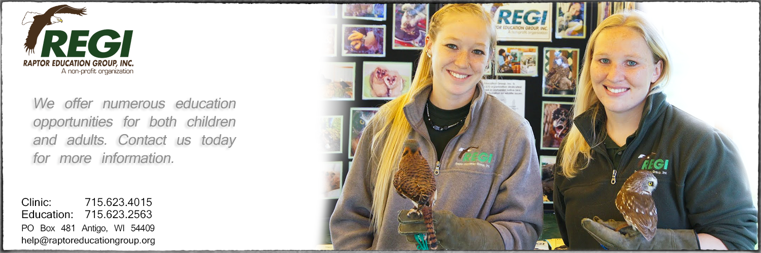 Raptor Education Group Inc Personalized Education Opportunities.jpg