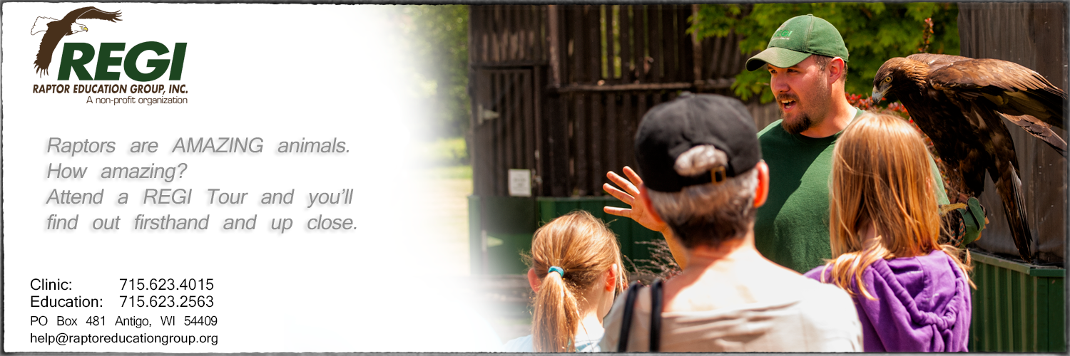 Raptor Eduacation Group's Joe Krumrie addresses a tour crows with Golden Eagle Zephyr.png