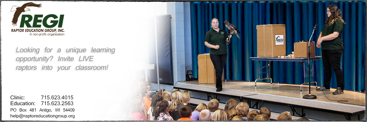 Raptor Education Group Inc Classroom Live Raptor Presentation.jpg