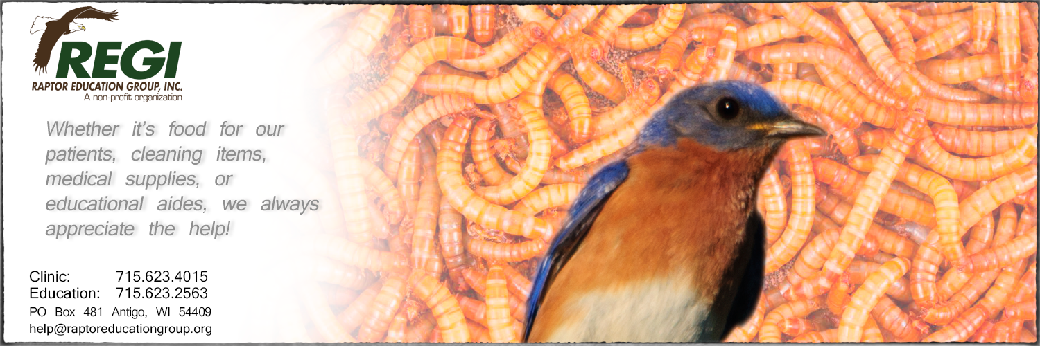 Raptor Education Group Inc can always use your help in obtaining supplies.png