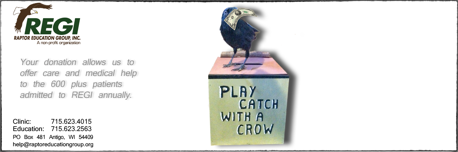 Raptor Education Group Inc is a non-profit dependent on your donations to help birds in need.png