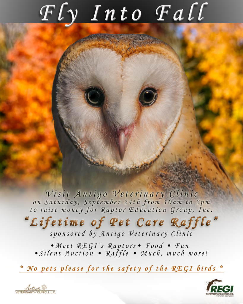 Raptor Education Group Fly Into Fall Fundraiser.png