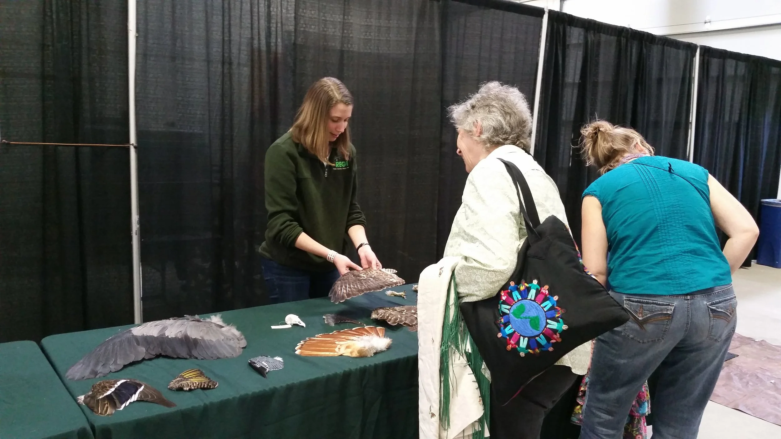 Volunteer, Melissa, teaches visitors about wing identification at the 2017 On Wisconsin Spring PowWow in Madison. 