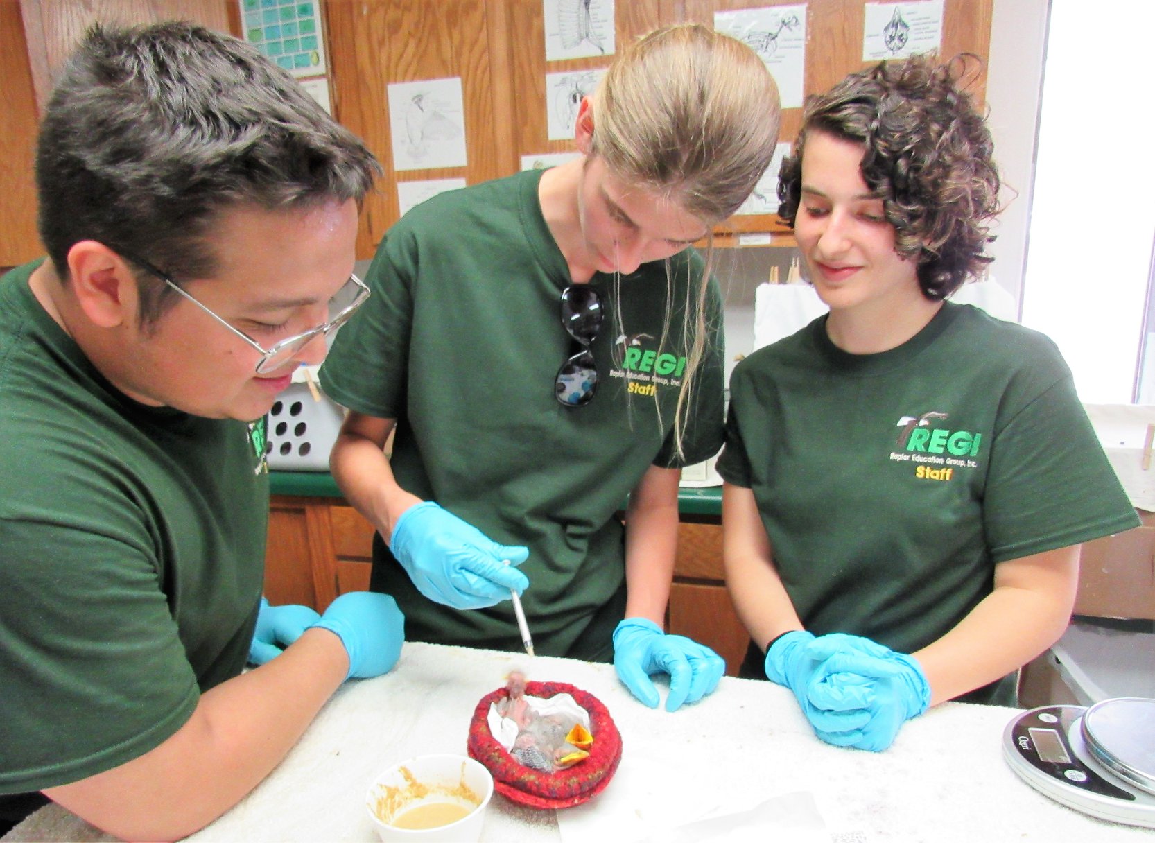 Feeding tiny nestlings is a more than full time job.