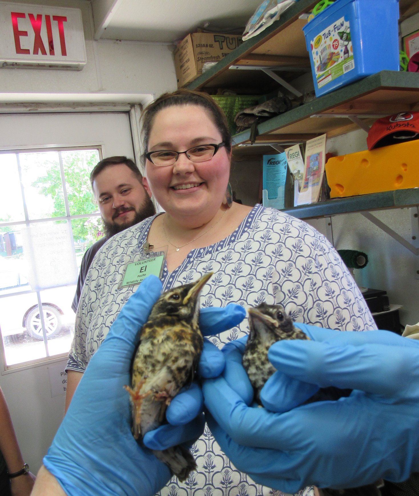 Young robins lost their family and are not growing up at REGI.