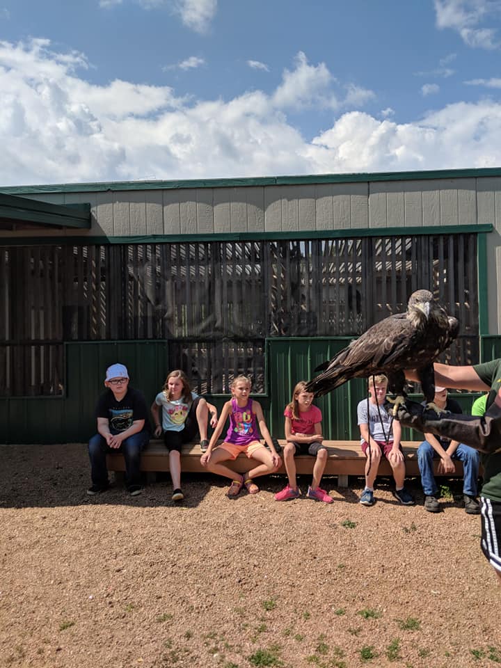 Campers got to meet a very special bald eagle!