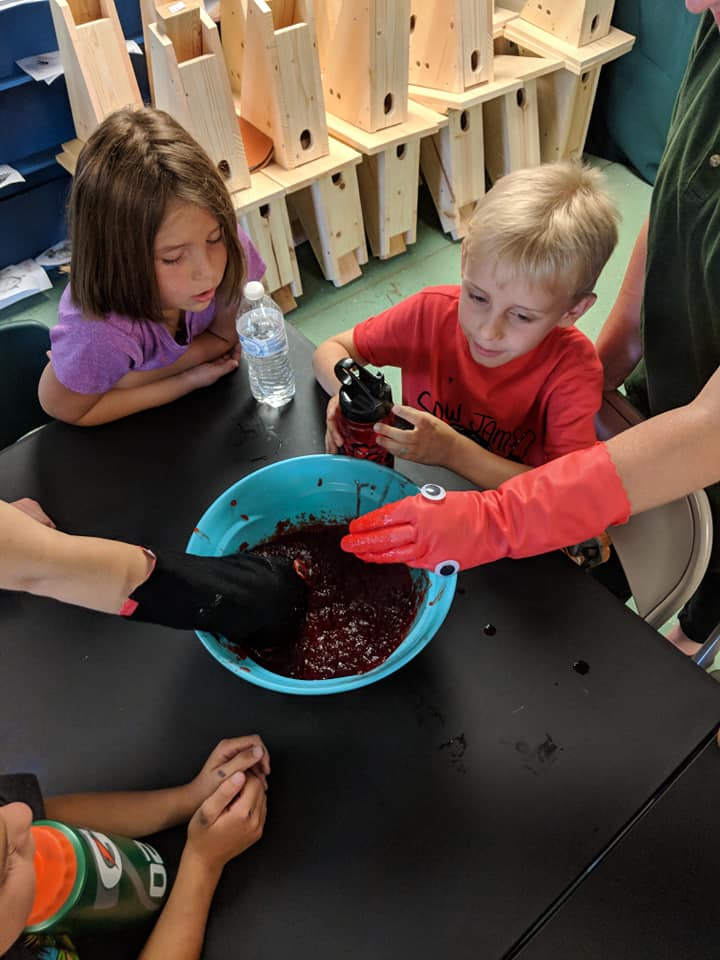 Campers watched as two staff members stuck their gloved hands (turkey vultures heads - one represent a turkey vulture, just a glove, and one any other animal with fur, felt around the glove) into jello (decaying meat - what vultures eat). Children got to see the benefits to having a bald head - NO MEAT WILL STICK YOU YOU!