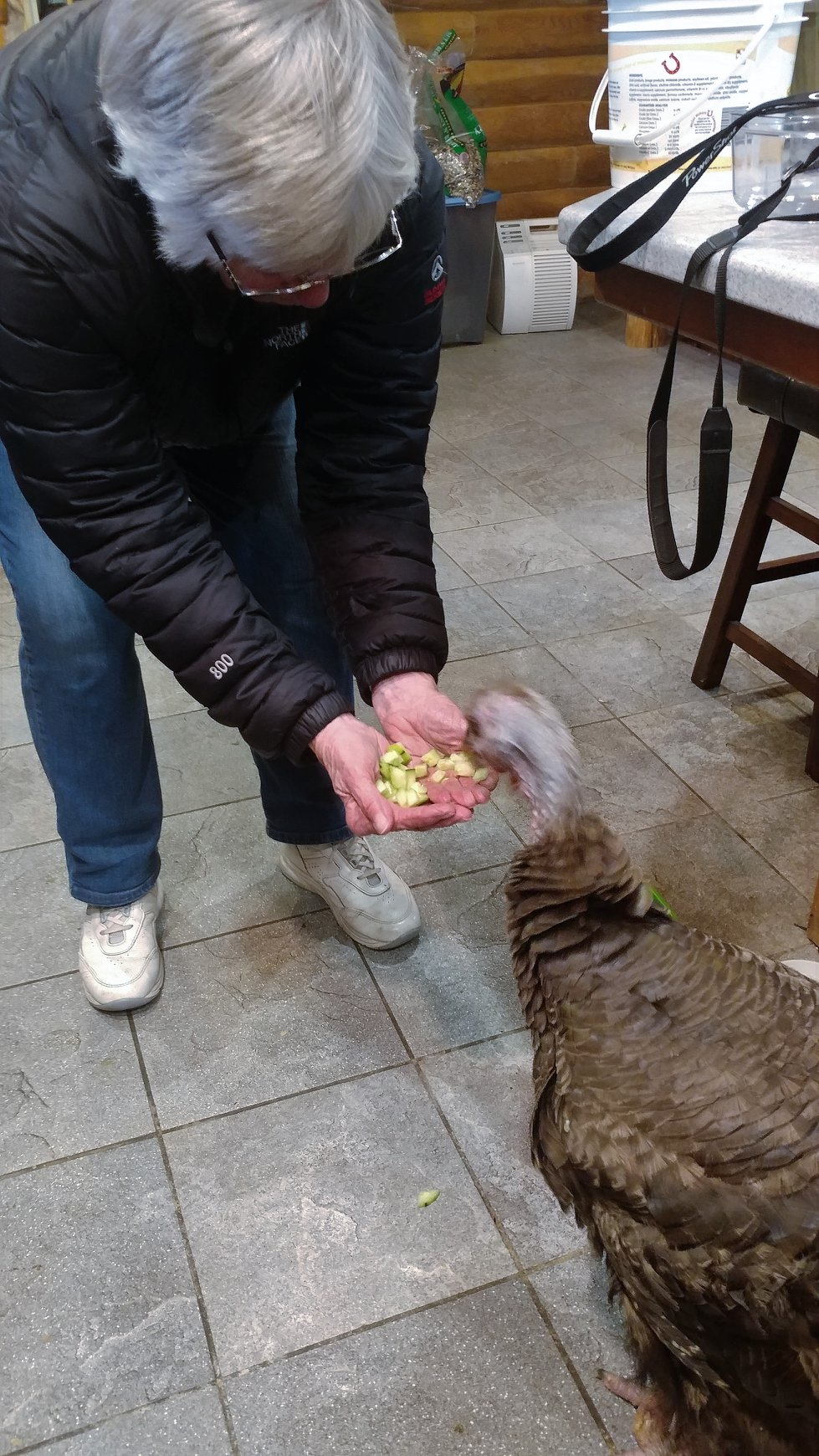 Grace loves fresh cut cucumbers.