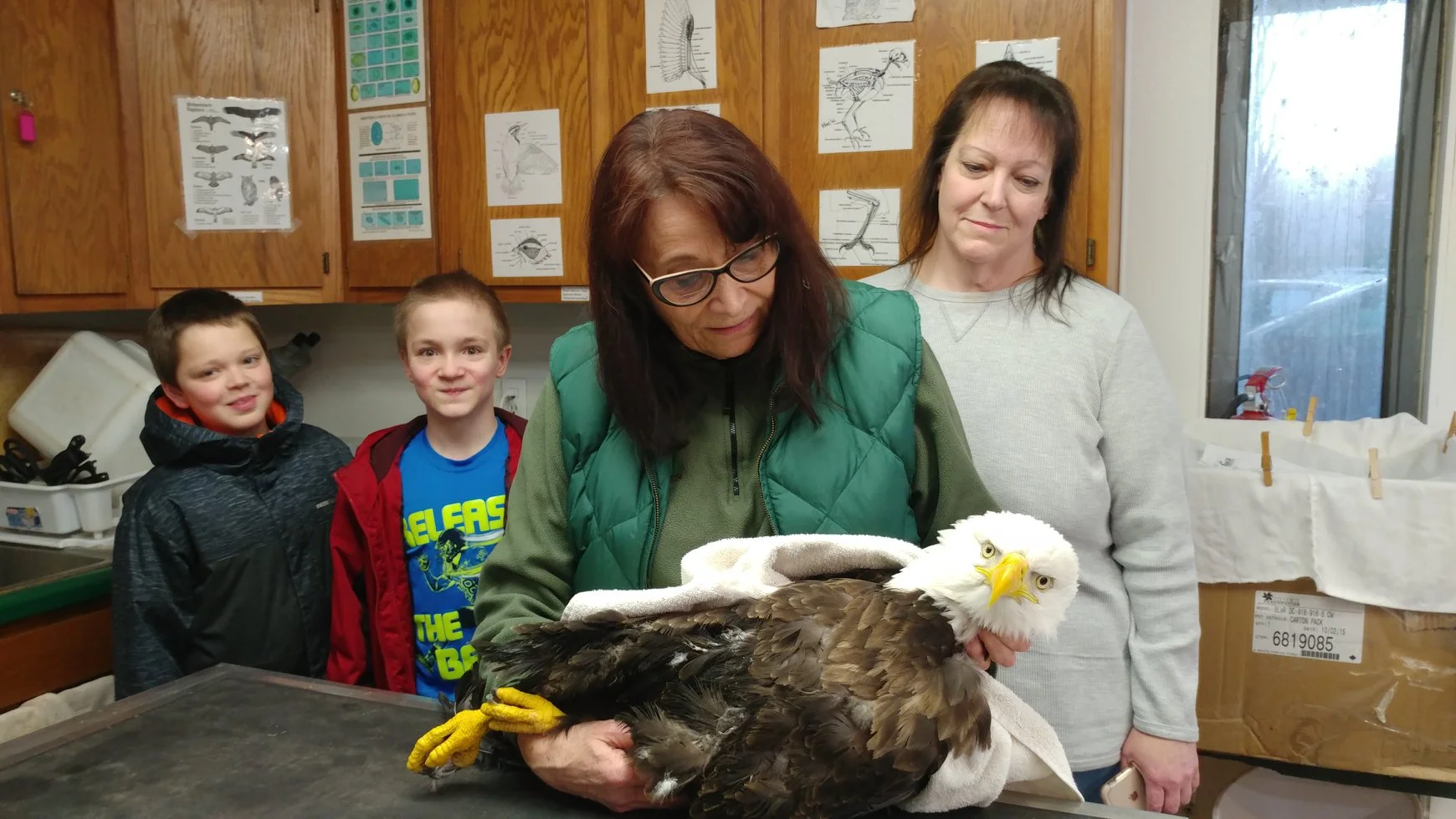 A great experience for the youngsters to be able to be part of the transport of this critically ill bald eagle. He has lead poisoning 