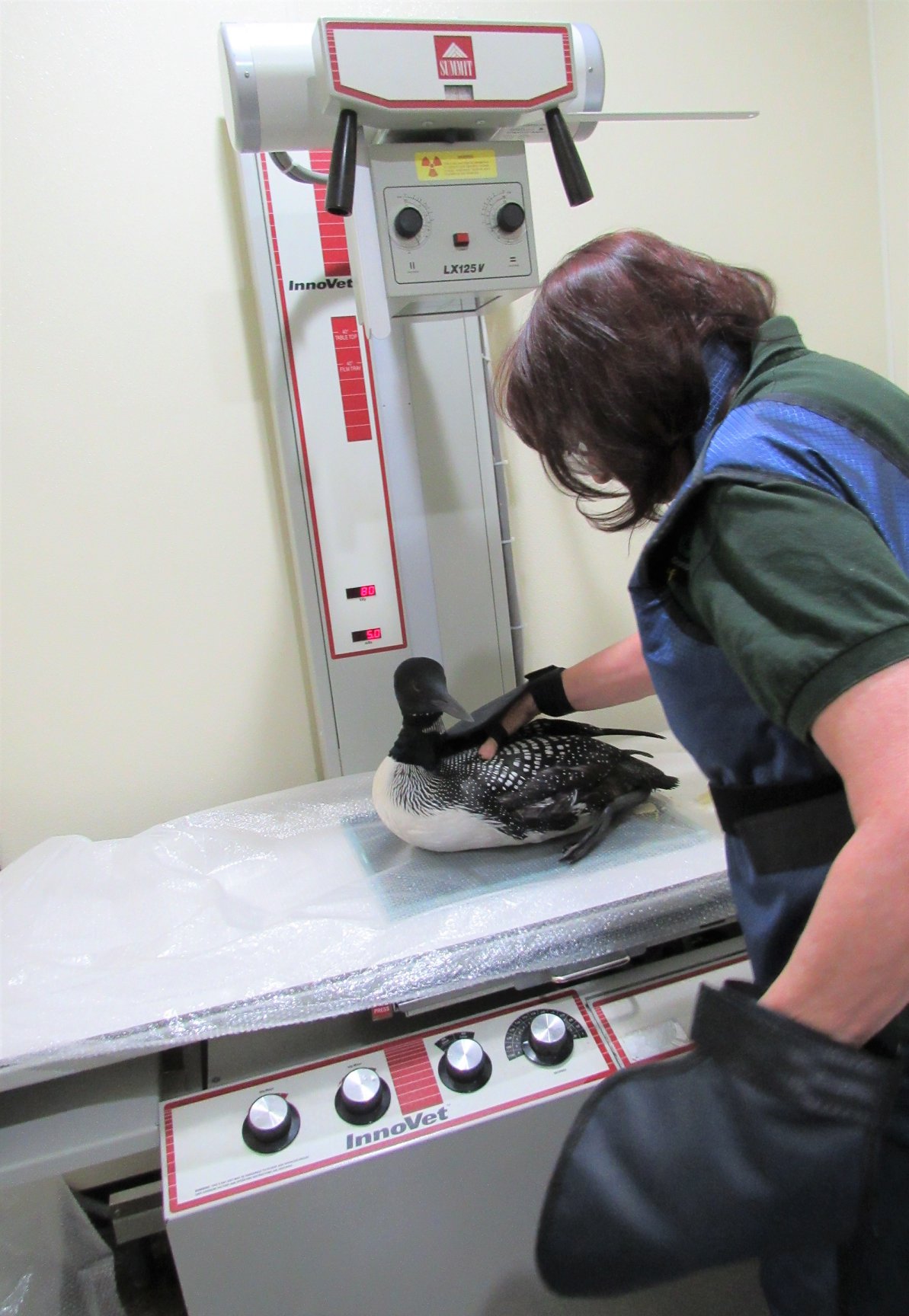 Our first patient with the new x-ray in our new clinic