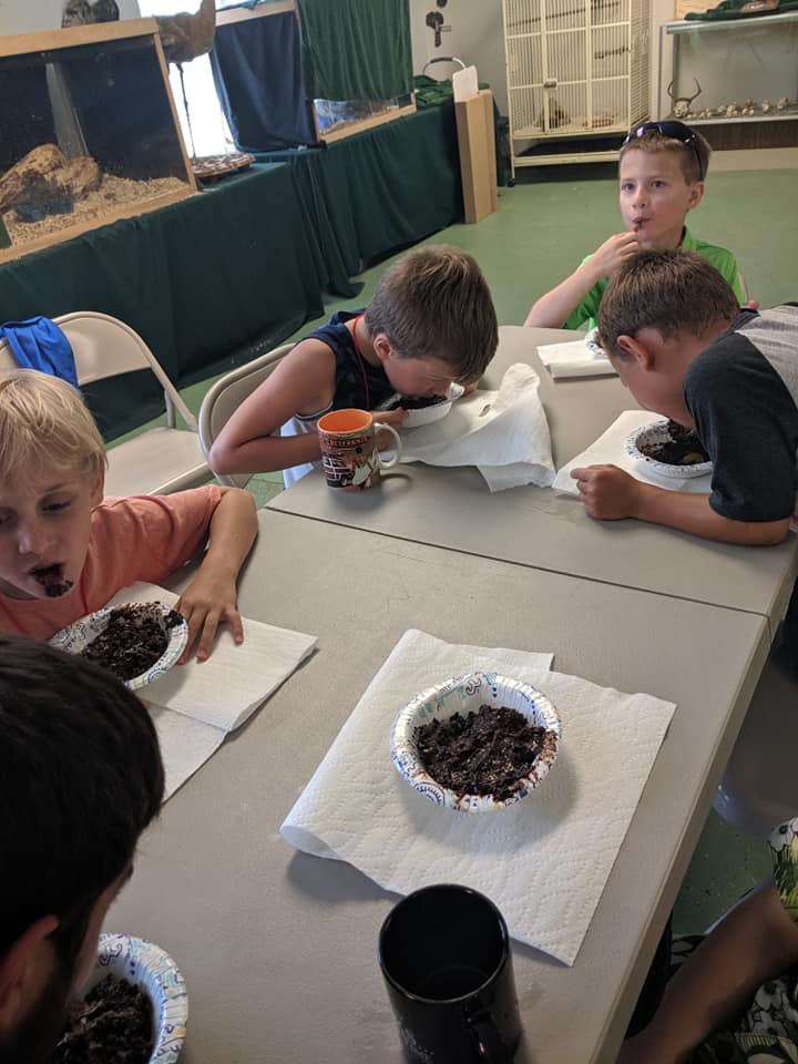 On Songbird Day the campers had dirt cake snack..... They used their "beaks" to seek out the gummy worms. How fun!