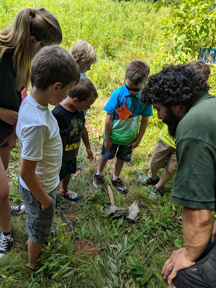 Possible remains of a wolf meal?